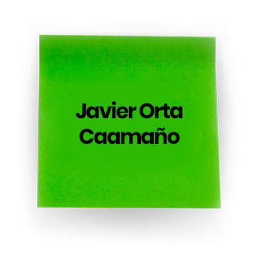Javier Orta Caamaño